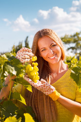 Similar image 10870012