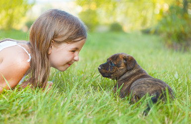 Similar image 10870092