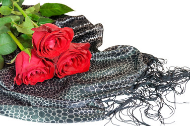 Similar image 10869513