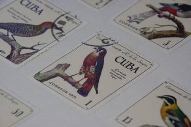 Similar image 10872314