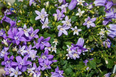 Similar image 10869434