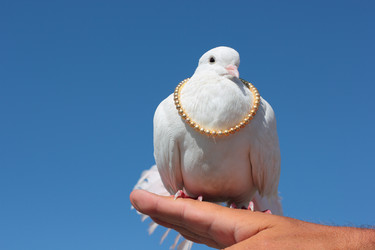 Similar image 10872788