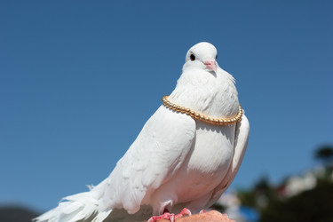 Similar image 10872789