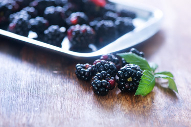 Similar image 10872027