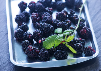 Similar image 10872028