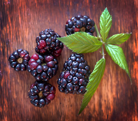 Similar image 10872049