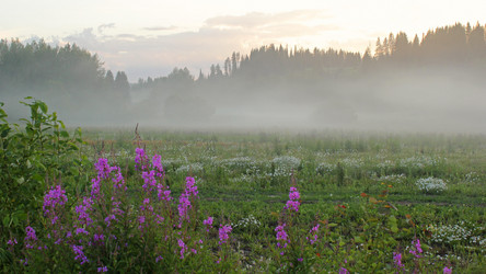 Similar image 10869582