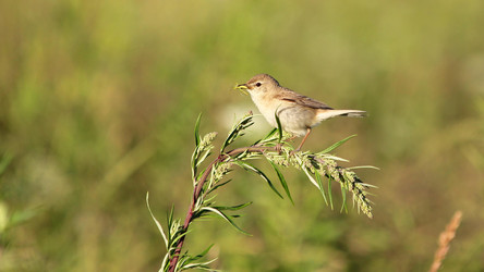 Similar image 10869583