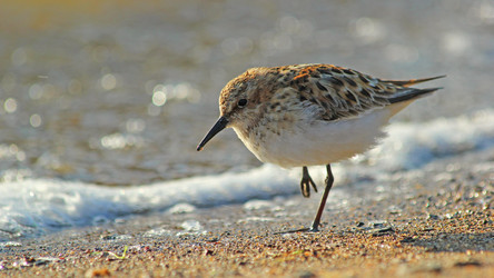 Similar image 10869585