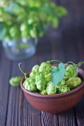 Similar image 10872186