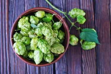 Similar image 10872187