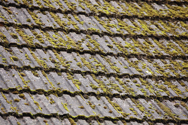 Similar image 10869473