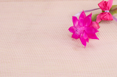 Similar image 10869871