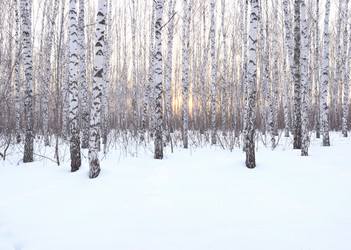 Similar image 10869501