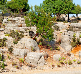 Similar image 10884882