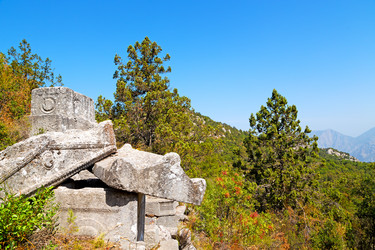 Similar image 10884883