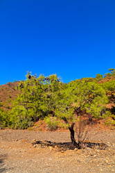 Similar image 10884918