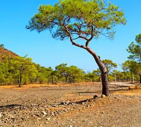 Similar image 10884945