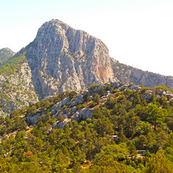 Similar image 10884953