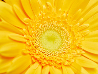 Similar image 10869779