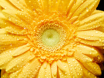 Similar image 10869781