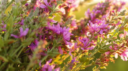 Similar image 10871002