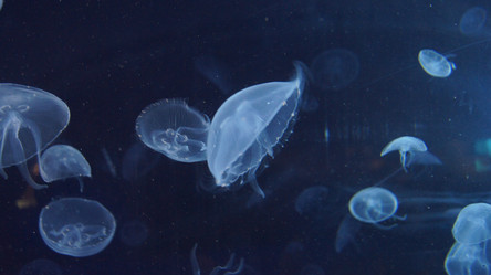 Similar image 10875032