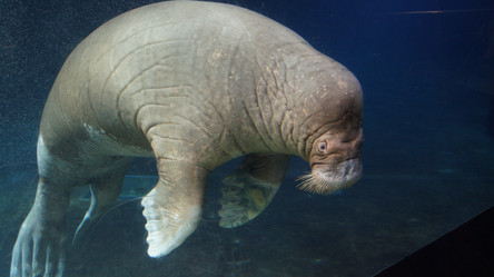 Similar image 10871004