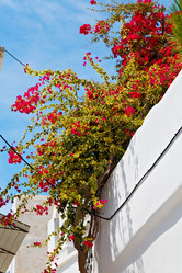 Similar image 10886745