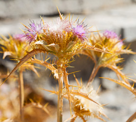 Similar image 10884884