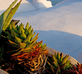 Similar image 10884885