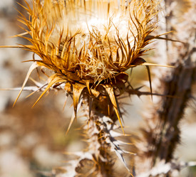 Similar image 10885106