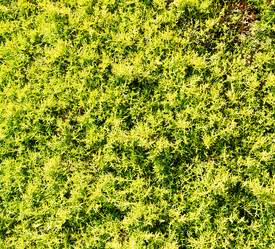 Similar image 10885143