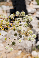 Similar image 10885145