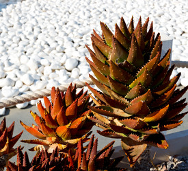 Similar image 10885152