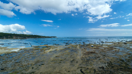 Similar image 10872956