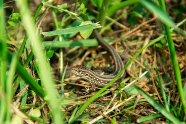 Similar image 10877752