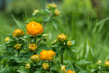 Similar image 10877766