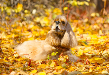 Similar image 10871431