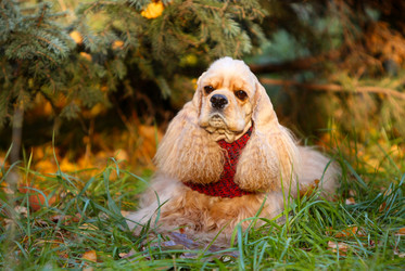 Similar image 10871432