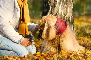 Similar image 10871433