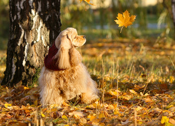 Similar image 10871434