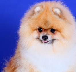 Similar image 10872355