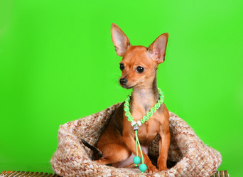 Similar image 10872357