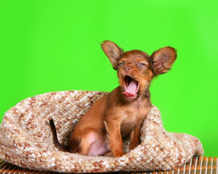 Similar image 10872358