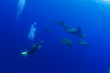 Similar image 10873638