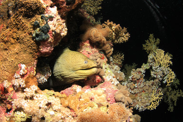 Similar image 10872335