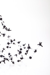 Similar image 10879286