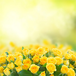 Similar image 10873473