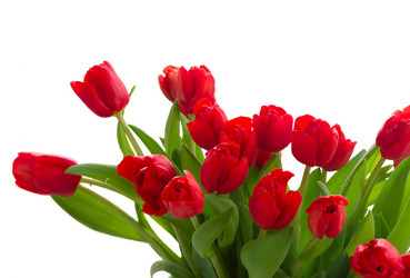 Similar image 10873474